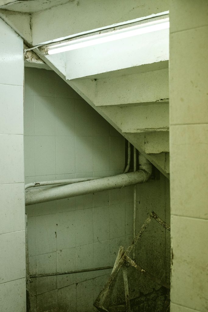 cave humide
